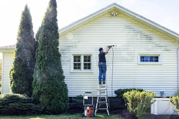 Best Patio and Deck Pressure Washing  in Mountain Lake, MN